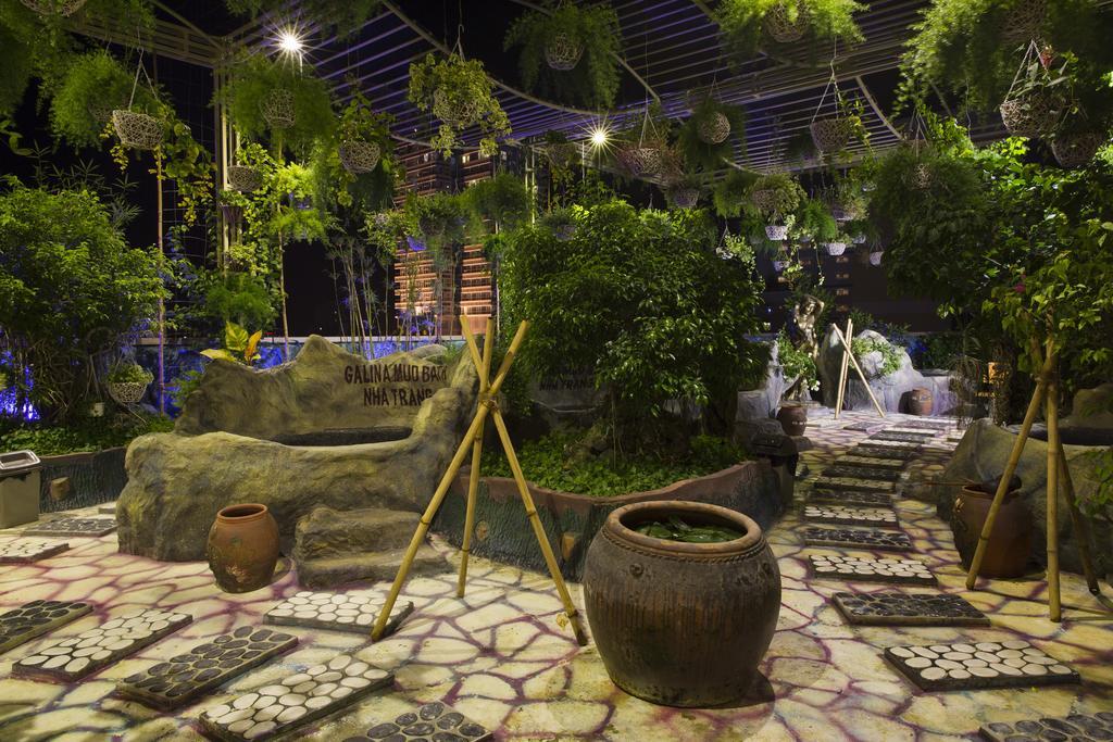 Galina & 4* Nha Trang